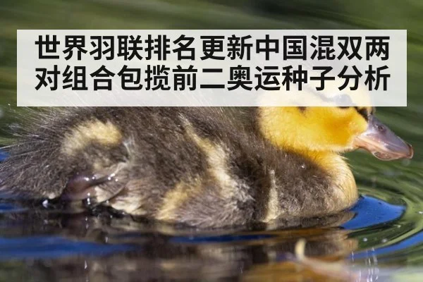 世界羽联排名更新中国混双两对组合包揽前二奥运种子分析